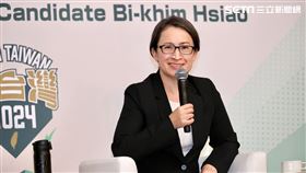 民進黨副總統參選人蕭美琴舉辦國際記者會（圖／記者鄭孟晃攝影）