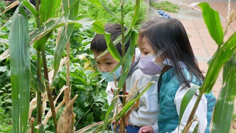 學生學種菜、插花！北市力推田園體驗教育