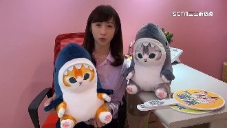 獨／蕭美琴輔選　許淑華備台灣戰貓盼傳承