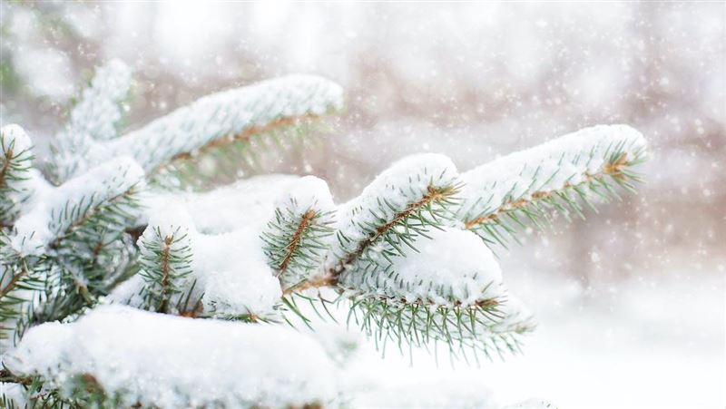 大雪將至！3生肖發財　貴人相助金庫滿滿