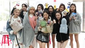 黑曜精靈（財團法人流浪動物之家基金會提供）