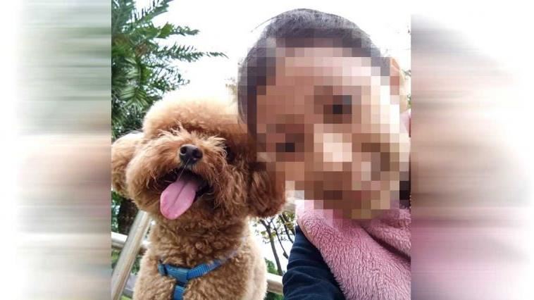 女童喪母愛犬又被逼送養…探視不成還遭諷