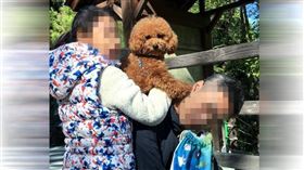 毛寶貝,毛小孩,流浪動物之家,愛犬,經濟條件,喪母之痛,協議書,賴芳玉,寵物條款,違約金條款,信託方式,法律地位