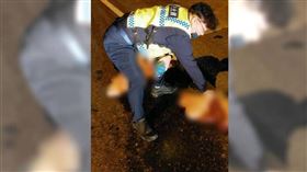 ▲南投縣台14線中潭公路，昨日載運販賣用的肉品，不慎掉落於地，深夜視線昏暗下內臟與血水，彷如刑案現場，嚇得民眾立即報警。（圖／翻攝畫面）