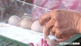 雞蛋/蛋行(翻攝畫面)