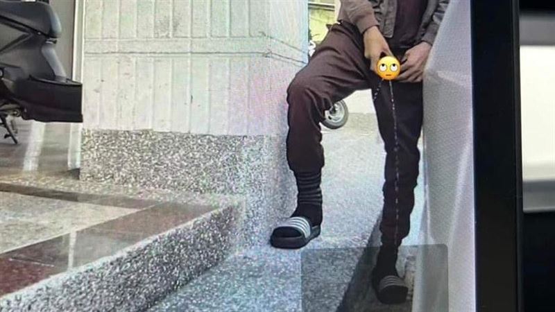男隨地小便「特斯拉全錄下」！網羞喊好慘