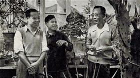 ▲溥儀到植物園工作，過上平民的日子。（圖／翻攝自百度百科）