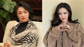 ▲金星；楊冪（圖／翻攝自微博）