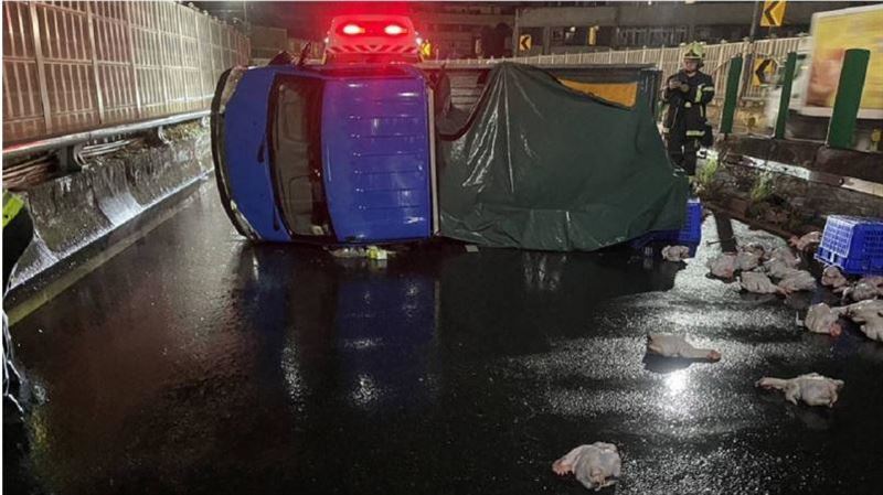 三重小貨車撞護欄　車上「降肉」雞隻滿地