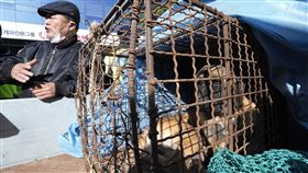 大韓育犬協會等相關團體連續2天在韓國總統辦公室前集會抗議禁食狗肉特別法案，業者用卡車將犬隻載運到現場試圖放狗。（圖／美聯社／達志影像）