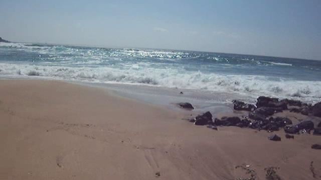 30公分海嘯沒威脅?專家:6成女性被沖倒