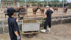 高志,鹿場,主持人,鹿茸酒,健太郎