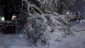 德國慕尼黑大雪亂交通 飛機火車全天取消（圖／美聯社／達志影像）