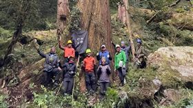 大安溪台灣杉巨木高84.1公尺  創東亞第一農委會林試所今年農曆年間測量大安溪台灣杉巨木，最後確認編號「55214」台灣杉達84.1公尺、樹圍約8.5公尺，不只是台灣第一高巨木，就目前的資料來看，也是東亞第一高。（徐嘉君提供）中央社記者張雄風傳真  112年1月30日