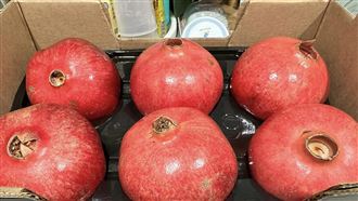 外食族救星！這水果顧肝、護腸道還能抗老