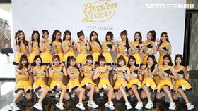 中信兄弟啦啦隊粉絲見面會在台中舉辦。（圖／業者提供）