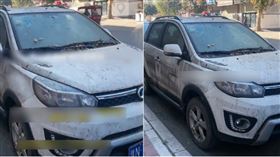 ▲白色轎車一停就是整整4年，車身布滿了經年累月的灰塵。（圖／擷取自微博）