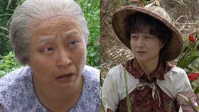 楊麗音（圖／大愛提供）