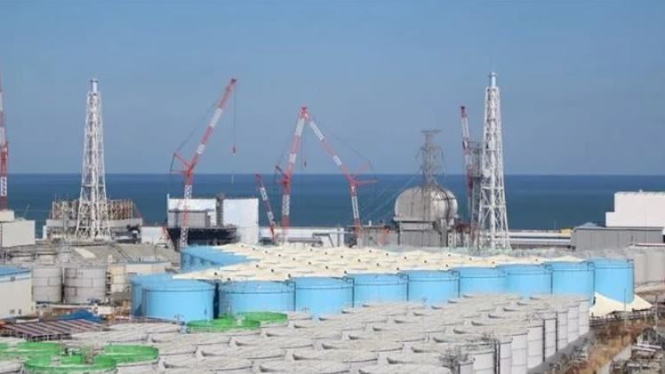 熊本香菇粉檢出微量輻射! 驗出銫-137