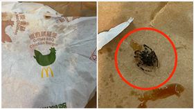 麥當勞,蜘蛛,嫩煎雞腿堡（圖／翻攝自《竹東小鎮》）