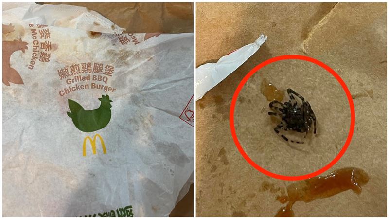 漢堡滑出「8腳生物」媽嚇壞　麥當勞回應