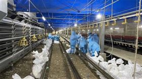 （圖／翻攝自雲林縣政府）