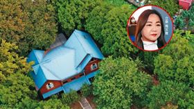 國有農地蓋歐式木屋　馬文君爽住獨棟莊園大違建（圖／鏡週刊）