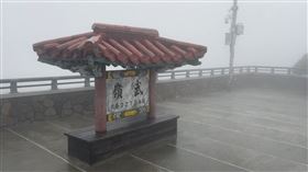 東北季風+水氣足，合歡山下冰霰，持續三分鐘，(圖／翻攝畫面)