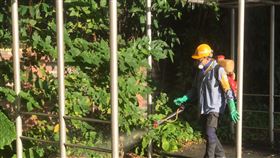 1206北市登革熱 (北市衛生局提供)