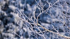 雪,大雪,下雪(翻攝自PIXABAY)