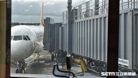 桃園機場/出國/台灣虎航飛日本（記者陳弋攝影）