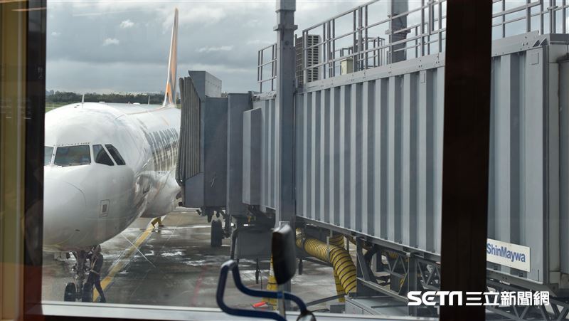 機場採檢首揪出黴漿菌　2種病毒仍占大宗