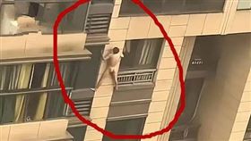 （圖／翻攝自搜狐網）