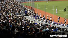 ▲亞錦賽台、日戰，CTgirl帶領17000位球迷應援。（圖／記者劉彥池攝影）