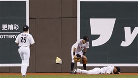 ▲日本中外野手逢澤崚介接球撞在全壘打牆上，腳踝受傷倒地。（圖／中華棒協提供）