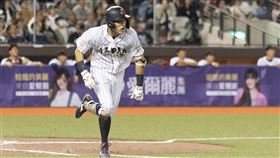 ▲向山基生對韓國比賽2安打2打點，本屆前5場比賽都有安打，是攻擊型第2棒。（圖／中華棒協提供）