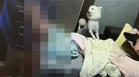 台北市一對夫妻日前在家中因細故爭吵，林姓丈夫作勢欲毆打寵物犬洩憤，簡姓妻子連忙報警求助，寧夏路派出所2名員警到場處理時，林男故意打開關狗房門，導致一名張姓員警突遭寵物犬咬傷腿部