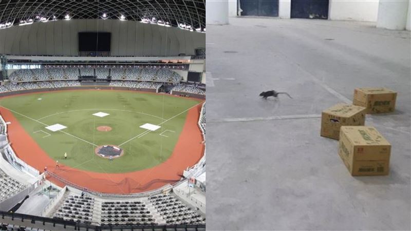 不只鼠患！大巨蛋哺乳室竟變「吸菸室」