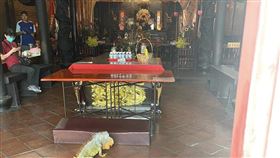 綠鬣蜥,拜拜,媽祖廟,天后宮