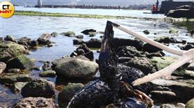 獨家直擊！黑色濃稠油汙　北襲基隆潮境公園　ｃｔｗａｎｔ