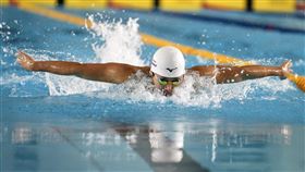 王星皓達巴黎奧運達A標還是差了一點點。（圖／泳協提供）