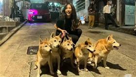 莫文蔚,遛狗,素顏,亞洲天后