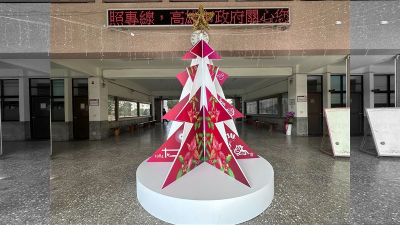 雄女聖誕樹花7萬⋯挨批盤子樹！校方回應