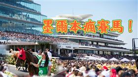 外稿勿用！！！！！！！！！！！！！
運氣爆棚！「墨爾本盃賽馬節」初體驗　一場吃喝玩樂的時尚盛宴