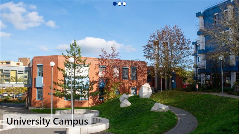 有德國教育部支持！德3大學強化台灣研究