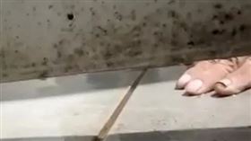 內灣老街女廁驚傳有偷窺狼。正妹如廁時，驚見隔板下出現一隻手。（圖／翻攝自臉書社團「爆料公社官方專屬」）