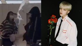 ▲張星特。（圖／翻攝自微博）