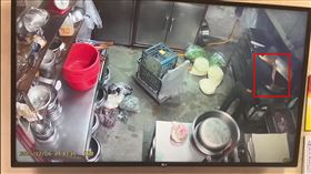 新北,樹林,自助餐,肉燥,梅干扣肉,牛腩,偷吃,送貨員