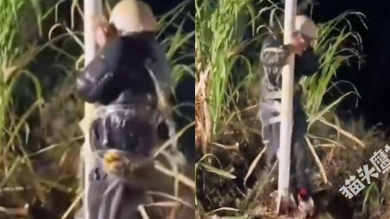 新郎被綁電線桿婚鬧　遭雞蛋狂砸皮帶抽臀