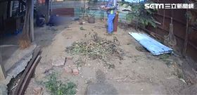 嘉義,鴿舍,拆除,木頭,工人